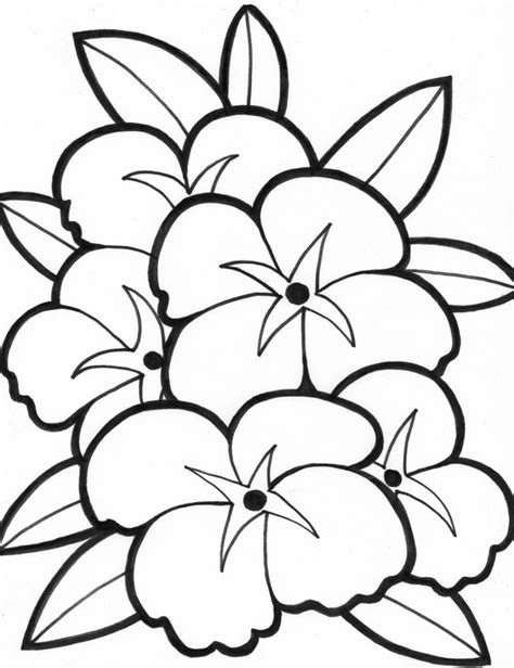 Free Printable Coloring Pages For Seniors