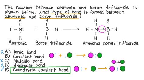 Ammonia Covalent Bond