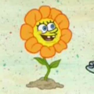 "flowers" Meme Templates - Imgflip