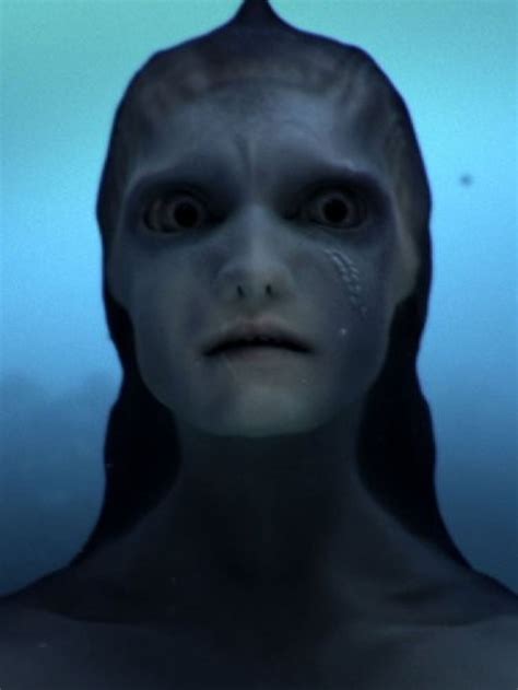 Are Mermaids Real? 'Mermaids: The New Evidence' Sparks Age-Old Question ...