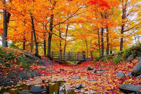 15 Road-Trip Stops to See the Best Autumn Colors | CafeMom.com