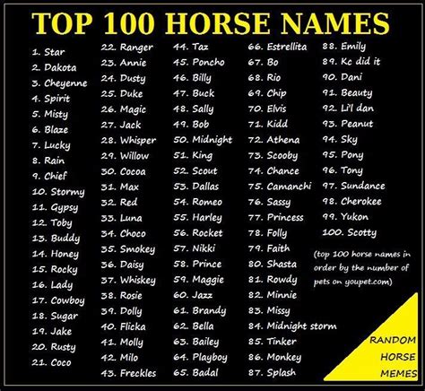 Pin by Patricia Gottschall on Horse Names | Horse names, Horse show ...