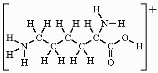 Lysine Formula & Structure