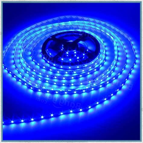 12v blue 5 metre LED lighting strip-12V Blue 5 Metre NON-Waterproof LED ...