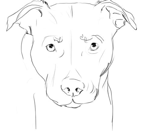 Dog outline, Pitbull drawing, Dog drawing