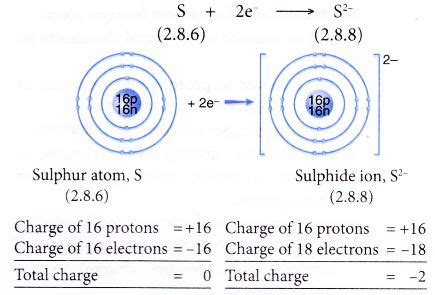 Are Metals Positive or Negative Ions - Micah-has-Booth