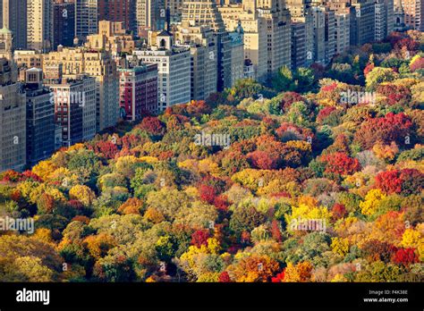 Central Park Fall Foliage