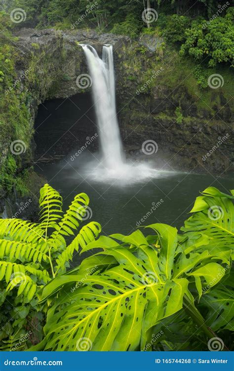 Rainbow Falls on Big Island Hawaii, USA Stock Photo - Image of scenery ...