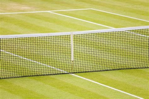 How To Make a Grass Tennis Court (Easy Guide)