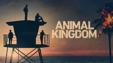 Animal Kingdom (TV Series 2016- ) - Backdrops — The Movie Database (TMDB)