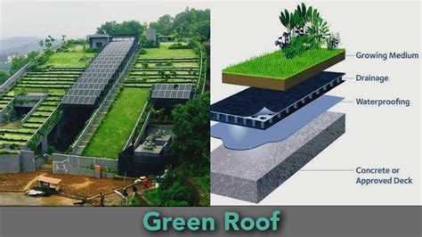 Green Roof: Types, Advantages, And Disadvantages