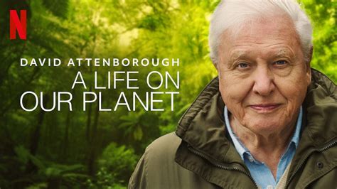 Netflix’s David Attenborough: A Life on Our Planet Review: A Heart ...