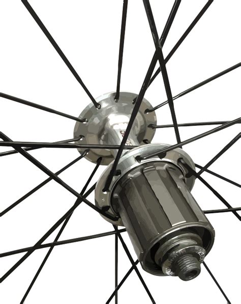 The Anatomy of Bicycle Wheels: Around and Around We Go! | Infolific