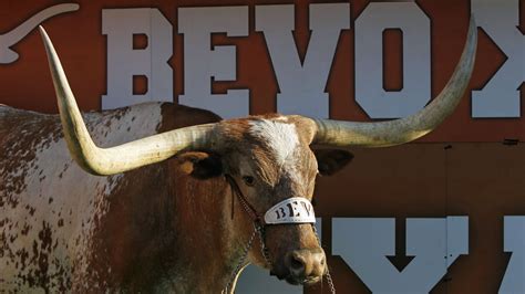 Texas mascot Bevo retiring to ranch after cancer diagnosis