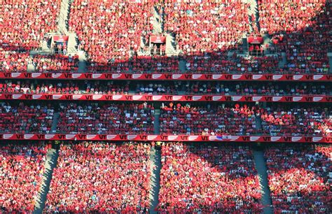 Free picture: crowd, people, sport, football, soccer, football stadium