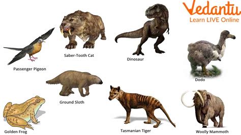 Is It Possible To Bring Back Extinct Species?