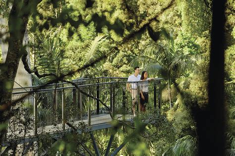 Tamborine Rainforest Skywalk, Queensland