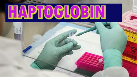 HAPTOGLOBIN - YouTube