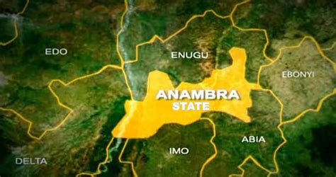 Core Farm Products Powering Anambra's Economy: Strategic Crops Offering ...