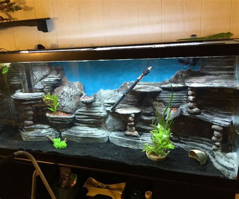 Make a 3D Aquarium Background : 14 Steps (with Pictures) - Instructables