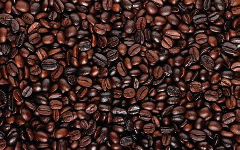 🔥 [40+] Coffee Beans Backgrounds | WallpaperSafari