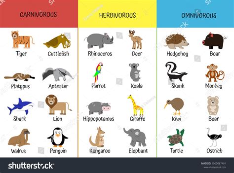 Herbivore Omnivore Carnivore Venn Diagram Carnivore Omnivore