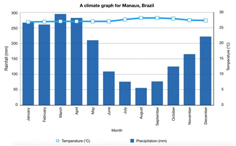 Tropical Rainforest Climate Graph 2021 - Memoiro Fasinner