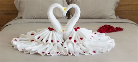 How to Fold a Swan Towel | How to fold towels, Towel swan, Towel animals