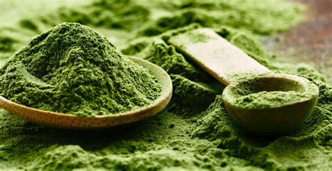 The Best Matcha Powder | October 2020 – Health Workers India