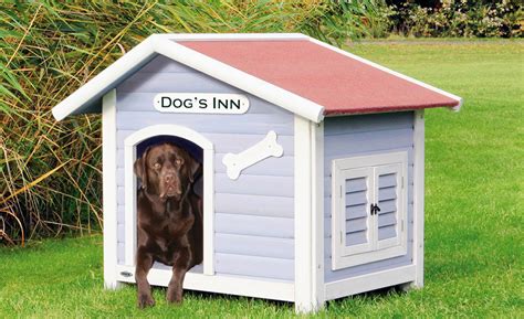 Cool Dog Houses Designs