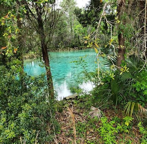 Three Sisters Springs FL | Three sisters springs, Outdoor, Outdoor decor