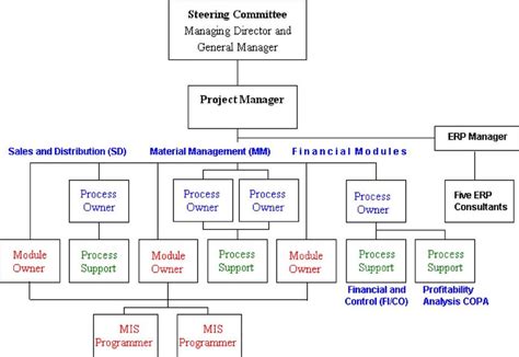 Project team structure by functional module. | Download Scientific Diagram