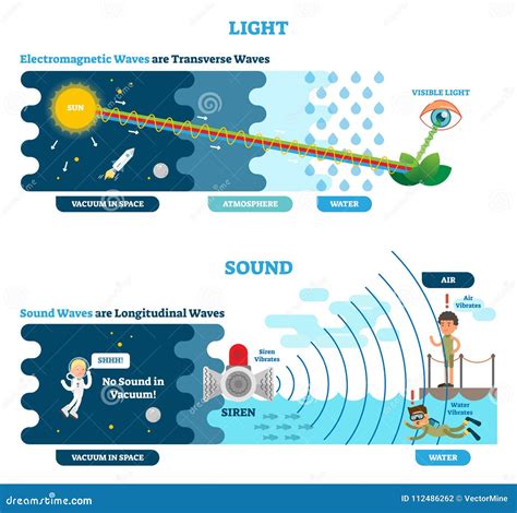 Longitudinal and Transverse Wave Type, Vector Illustration Scientific ...