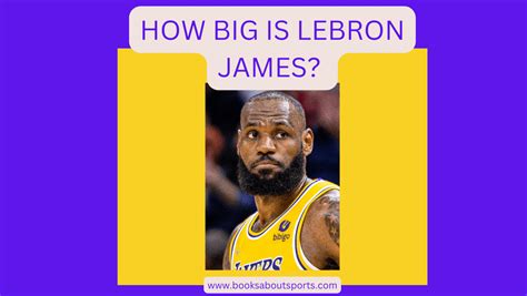 How Big is LeBron James? {Size, Weight, Wingspan} - BOOKS ABOUT SPORTS