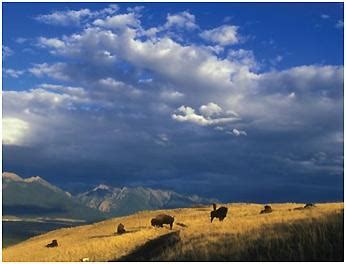 Climate Impacts in the Great Plains | Climate Change Impacts | US EPA