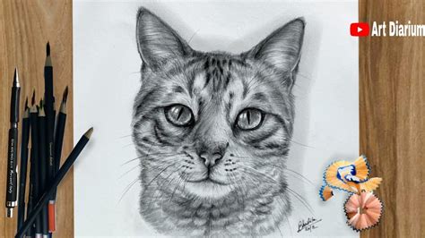 How to Draw a Cat / Pencil Drawing Tutorial for Beginners - step by ...