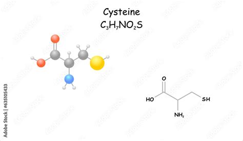 Stylized molecule model/structural formula of cysteine. Stock Vector ...