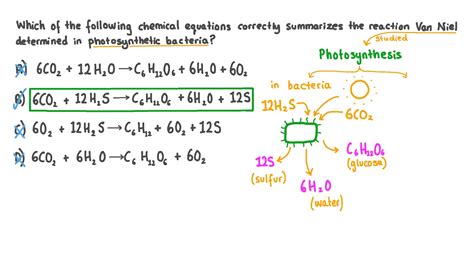 Equation For Photosynthesis