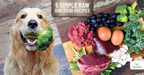 How To Prepare Raw Dog Food At Home?