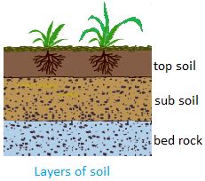 Layers of Soil | Three main Layers of Soil | Different Layers Soil ...