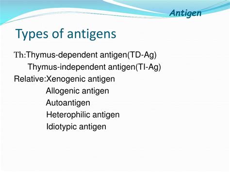 PPT - Antigen PowerPoint Presentation, free download - ID:5475074