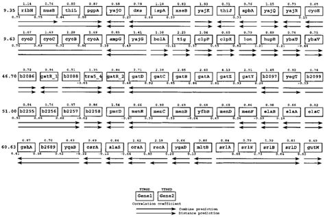 Example of gene map. Each box represents a gene. Above each is the ...