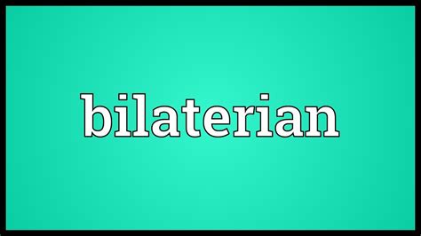 Bilaterian Meaning - YouTube