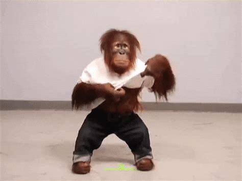 Cute Monkey GIFs - Find & Share on GIPHY