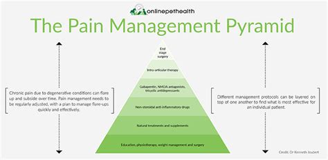 The Pain Management Pyramid | Onlinepethealth