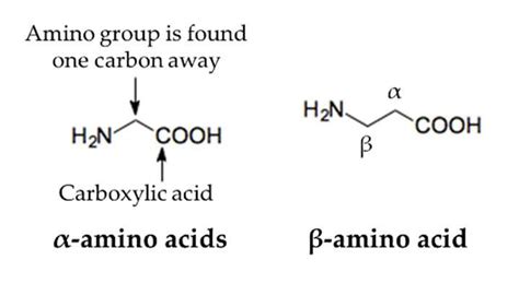 chemical structure of α-and β-amino acids (Lelais and Seebach 2004 ...