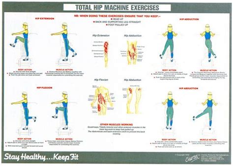 Hip Strengthening Exercises For Seniors