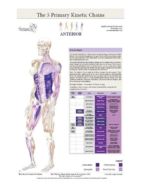 Kinetic Chain Part 1 | PDF