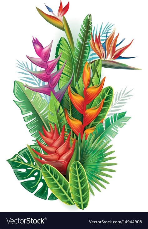 Tropical Painting, Tropical Art, Tropical Plants, Tropical Leaves ...