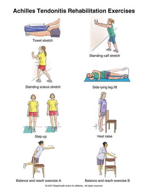 Injury Series: Eccentric exercise and tendon remodeling, part I ...